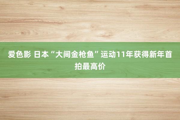 爱色影 日本“大间金枪鱼”运动11年获得新年首拍最高价