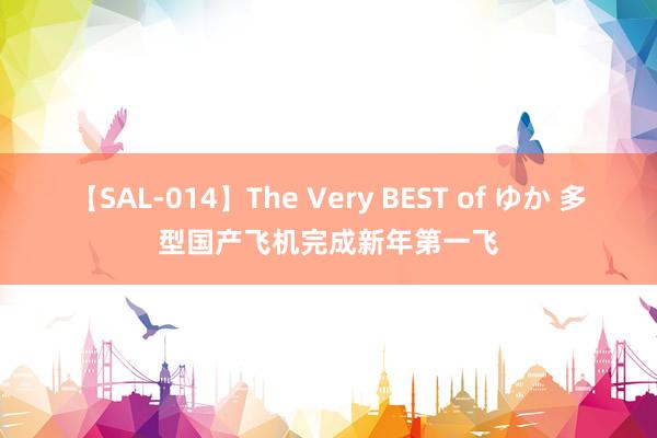 【SAL-014】The Very BEST of ゆか 多型国产飞机完成新年第一飞