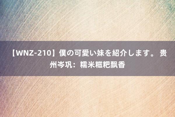 【WNZ-210】僕の可愛い妹を紹介します。 贵州岑巩：糯米糍粑飘香