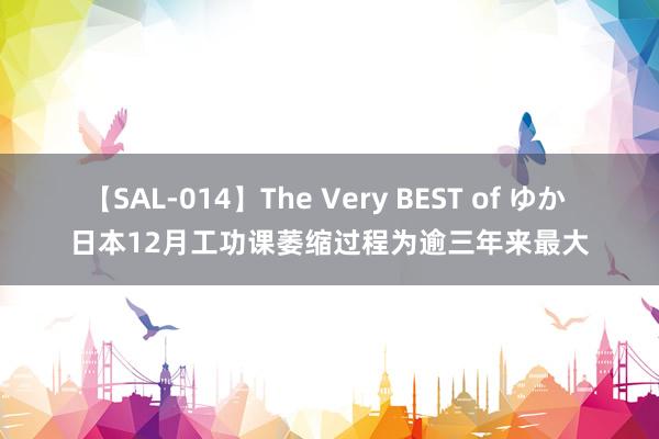 【SAL-014】The Very BEST of ゆか 日本12月工功课萎缩过程为逾三年来最大