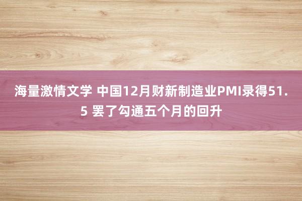 海量激情文学 中国12月财新制造业PMI录得51.5 罢了勾通五个月的回升