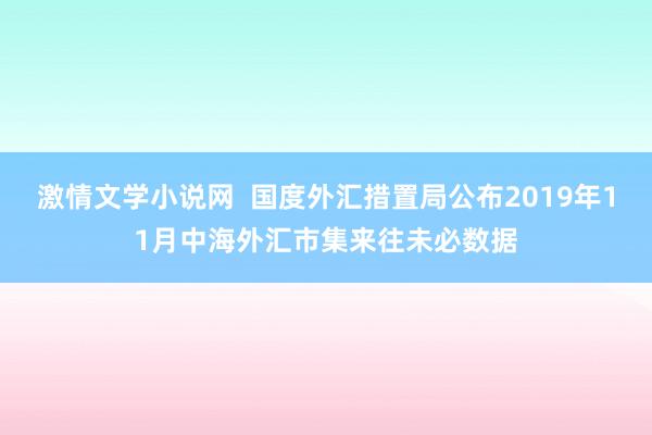 激情文学小说网  国度外汇措置局公布2019年11月中海外汇市集来往未必数据