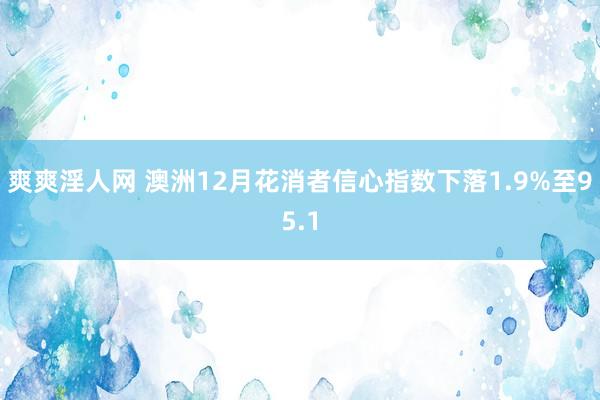 爽爽淫人网 澳洲12月花消者信心指数下落1.9%至95.1