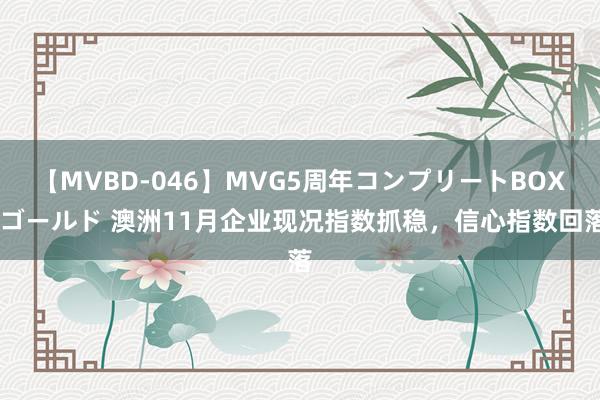 【MVBD-046】MVG5周年コンプリートBOX ゴールド 澳洲11月企业现况指数抓稳，信心指数回落