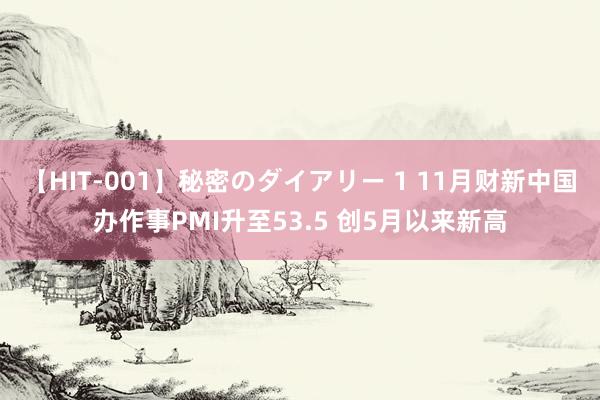 【HIT-001】秘密のダイアリー 1 11月财新中国办作事PMI升至53.5 创5月以来新高