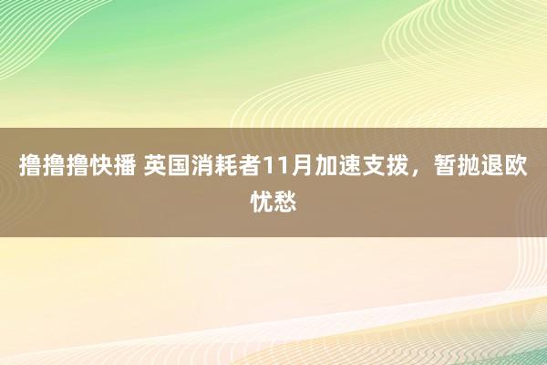 撸撸撸快播 英国消耗者11月加速支拨，暂抛退欧忧愁