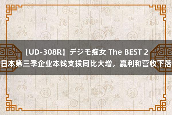 【UD-308R】デジモ痴女 The BEST 2 日本第三季企业本钱支拨同比大增，赢利和营收下落