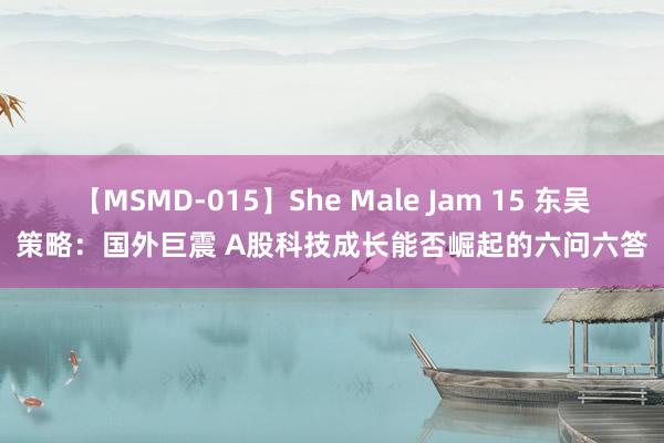 【MSMD-015】She Male Jam 15 东吴策略：国外巨震 A股科技成长能否崛起的六问六答