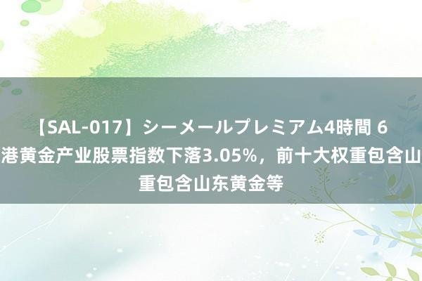 【SAL-017】シーメールプレミアム4時間 6 中证沪深港黄金产业股票指数下落3.05%，前十大权重包含山东黄金等