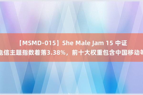 【MSMD-015】She Male Jam 15 中证电信主题指数着落3.38%，前十大权重包含中国移动等