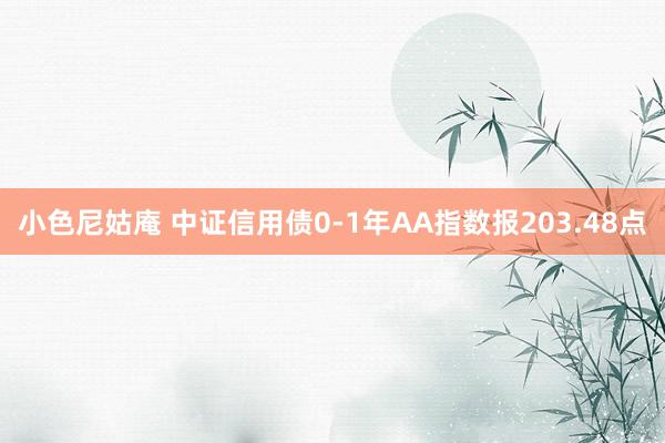 小色尼姑庵 中证信用债0-1年AA指数报203.48点