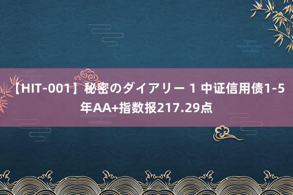 【HIT-001】秘密のダイアリー 1 中证信用债1-5年AA+指数报217.29点