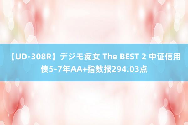 【UD-308R】デジモ痴女 The BEST 2 中证信用债5-7年AA+指数报294.03点