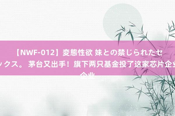 【NWF-012】変態性欲 妹との禁じられたセックス。 茅台又出手！旗下两只基金投了这家芯片企业