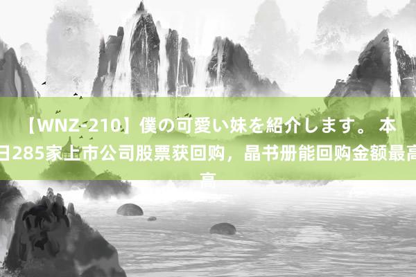 【WNZ-210】僕の可愛い妹を紹介します。 本日285家上市公司股票获回购，晶书册能回购金额最高