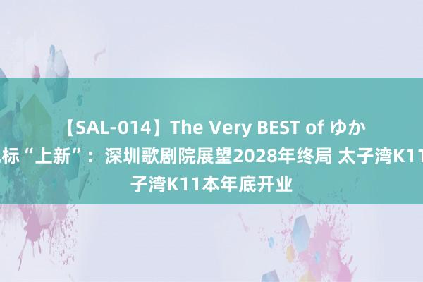 【SAL-014】The Very BEST of ゆか 深圳文艺地标“上新”：深圳歌剧院展望2028年终局 太子湾K11本年底开业