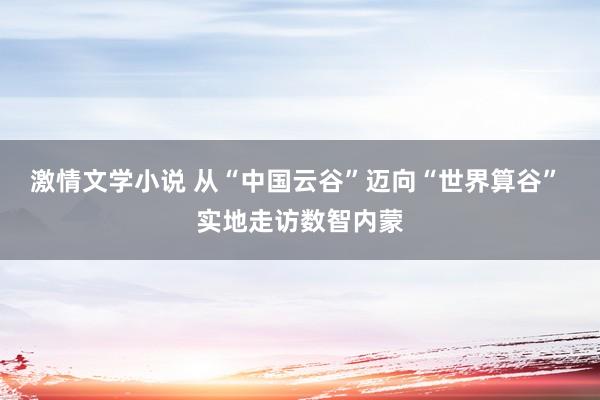 激情文学小说 从“中国云谷”迈向“世界算谷” 实地走访数智内蒙