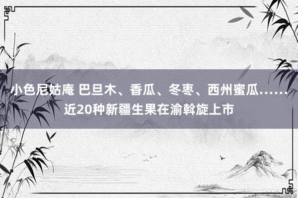 小色尼姑庵 巴旦木、香瓜、冬枣、西州蜜瓜……近20种新疆生果在渝斡旋上市