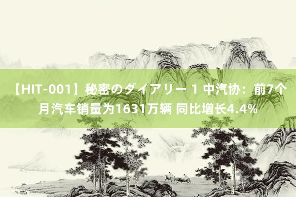 【HIT-001】秘密のダイアリー 1 中汽协：前7个月汽车销量为1631万辆 同比增长4.4%