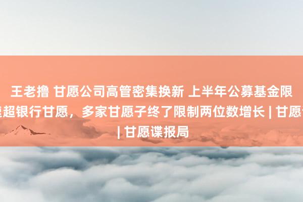 王老撸 甘愿公司高管密集换新 上半年公募基金限制增速超银行甘愿，多家甘愿子终了限制两位数增长 | 甘愿谍报局