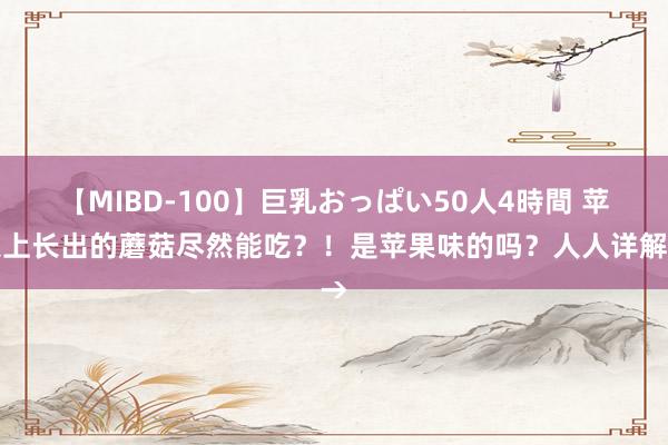 【MIBD-100】巨乳おっぱい50人4時間 苹果上长出的蘑菇尽然能吃？！是苹果味的吗？人人详解→