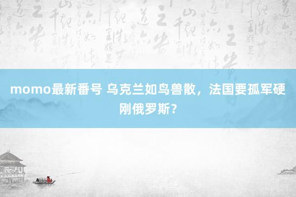 momo最新番号 乌克兰如鸟兽散，法国要孤军硬刚俄罗斯？